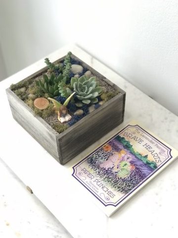 Fairy garden and book image flat lay